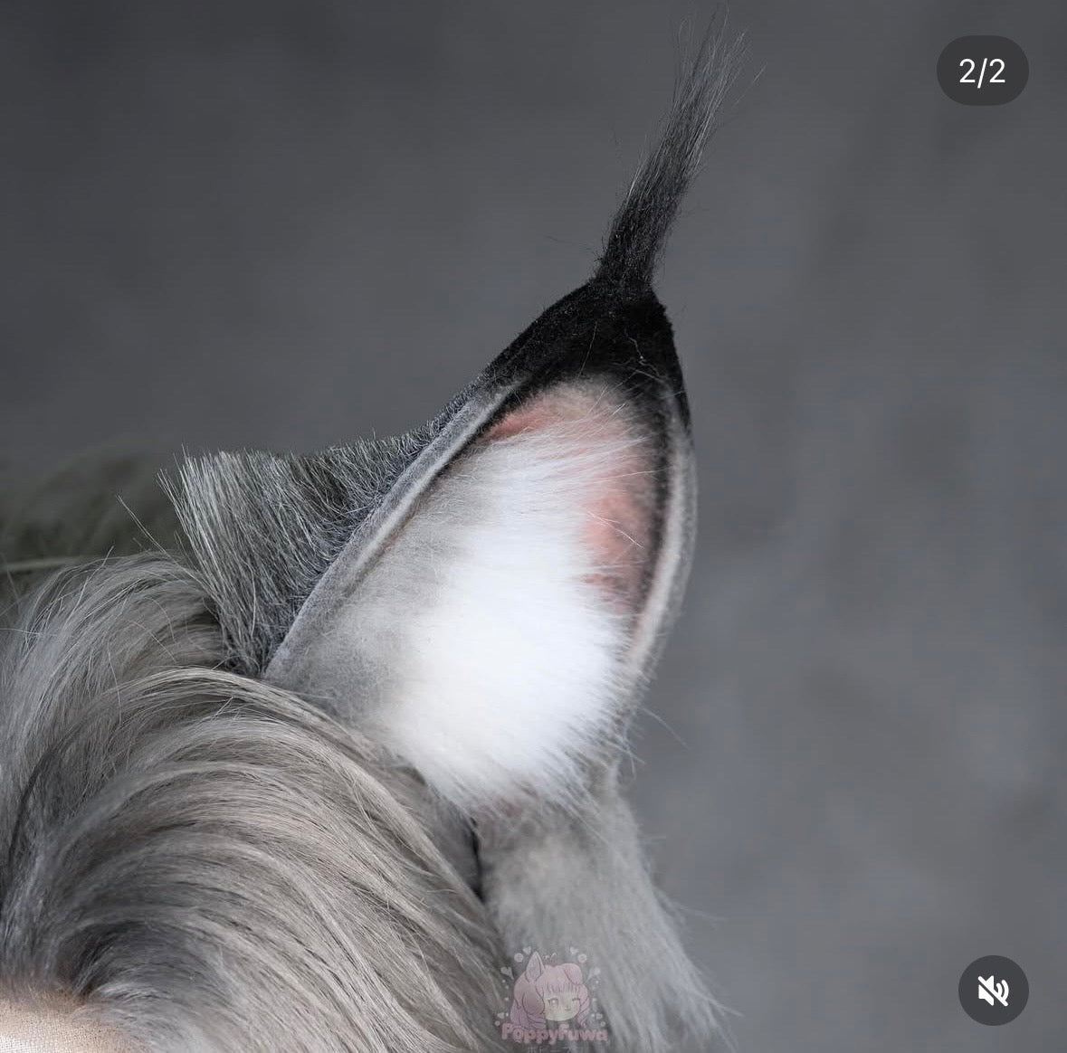 Lynxley's Ears
